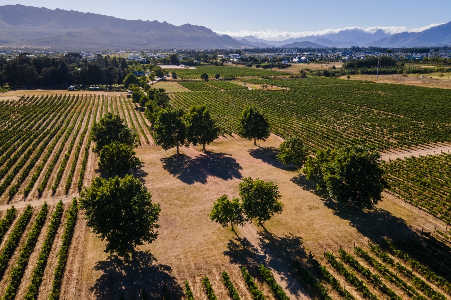 0 Bedroom Property for Sale in Val De Vie Estate Western Cape